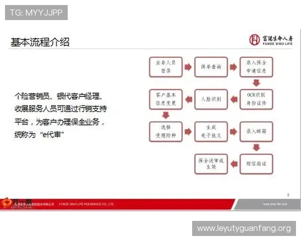 乐鱼电子平台怎么样注册流程及新手入门指南